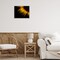 Stupell Industries Water Droplets on Sunflower Framed Giclee, design by Brian Carson Photography